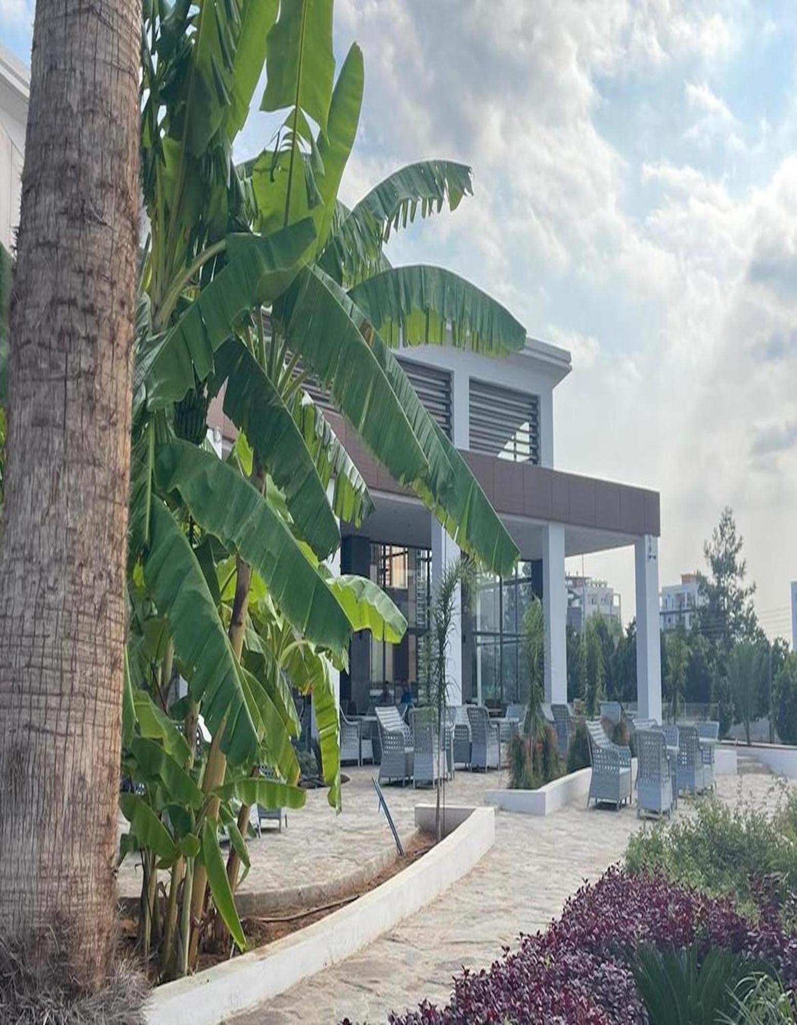 Ekor Elegance Hotel Αμμόχωστος Εξωτερικό φωτογραφία